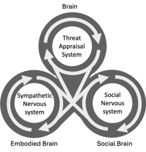 The Social Brain Understanding of Stress & Well-Being