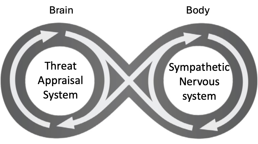 The Individual Understanding of Stress and Well-Being