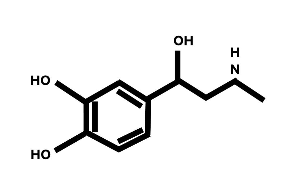 Adrenaline: A little hormone with a big impact