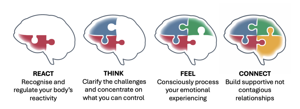 The Team Brain programme Skills that complete the Stress Cycle and lower your stress for the long term  